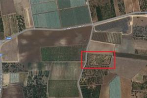 Terreno agricolo mq 9.000
