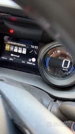 Bicolore Yaris ibrida