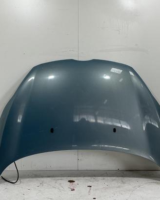 COFANO ANTERIORE FORD Fiesta 6° Serie 2002312 (08