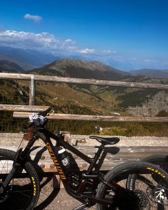 Specialized Enduro Expert 2023 full carbon