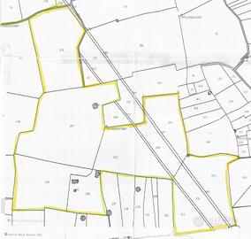 Terreno Agricolo 12 Ettari Salento