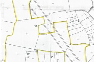 Terreno Agricolo 12 Ettari Salento