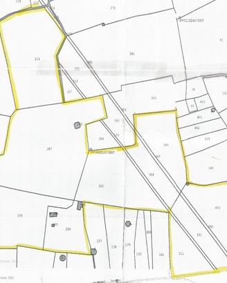 Terreno Agricolo 12 Ettari Salento