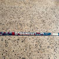 Canna da pesca Bolognese