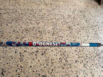 Canna da pesca Bolognese