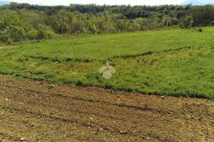 TER. AGRICOLO A ROCCASECCA