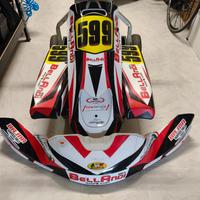 carene Kart KG