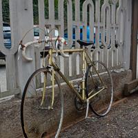 Legnano 54 special