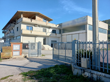 Capannoni con annessi Uffici e terreno