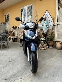SH 300