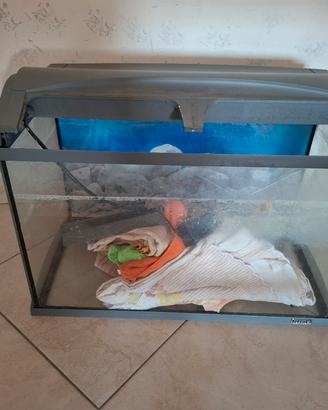 acquario tetra 60lt