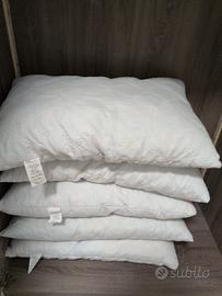 5 cuscini medio-rigidi 