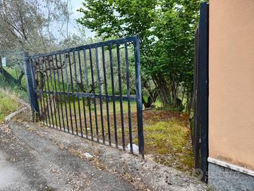 Uliveto con 60 piante di ulivo con fabbricato