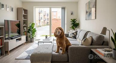 2 LOCALI A RIMINI