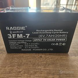 batterie ricaricabili raggie auto moto elettriche 