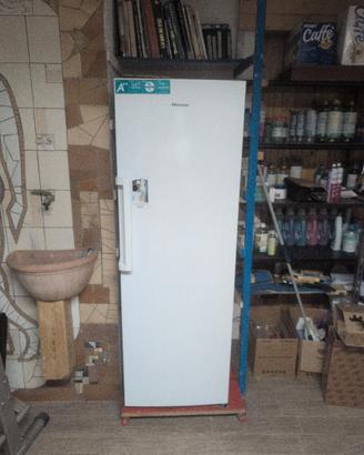 congelatore grande a porta singola HISENSE