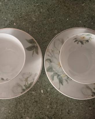 2 tazze Wellington Castle Royal Class Porcelain