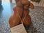 Immagine 3