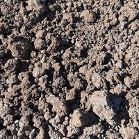 Terra per giardino o riempimento buche 