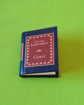 Libro in miniatura 