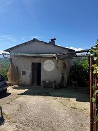 CASA INDIPENDENTE A PALIANO