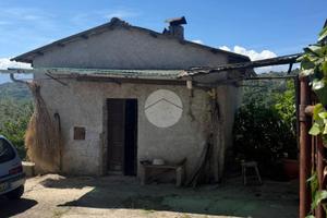 CASA INDIPENDENTE A PALIANO