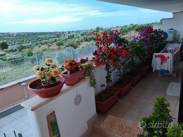Villetta a schiera a Ginosa zona palazzetto