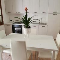 Bilocale nuovo arredato