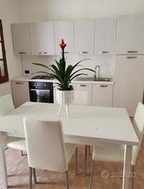 Bilocale nuovo arredato