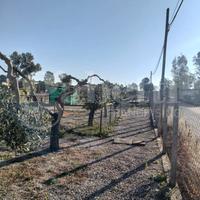 Terreno Residenziale Aprilia