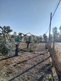 Terreno Residenziale Aprilia