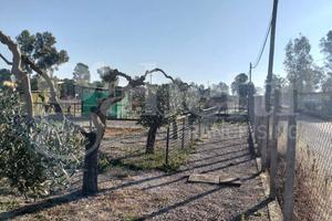 Terreno Residenziale Aprilia