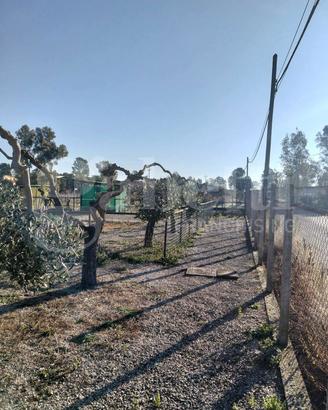 Terreno Residenziale Aprilia