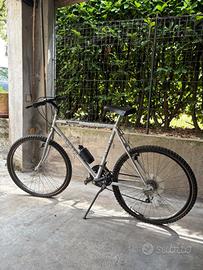 Mountain Bike Alasca