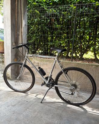 Mountain Bike Alasca