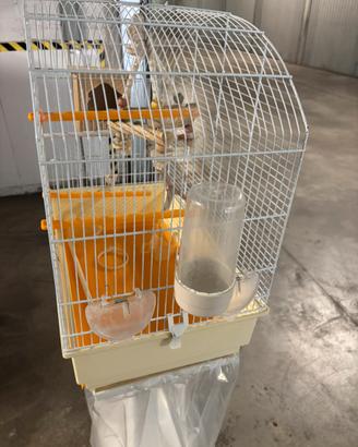 Gabbia per uccelli