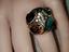 Immagine 1