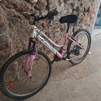 Bicicletta Olmo