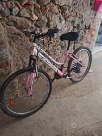 Bicicletta Olmo