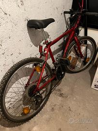 Mountain Bike misura 20