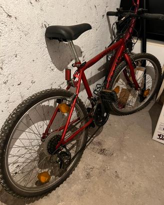Mountain Bike misura 20