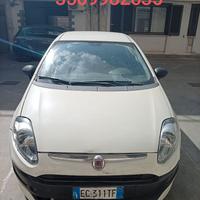 Punto evo ecco il numero 3509982635