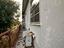 Immagine 29