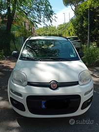 Fiat panda lounge