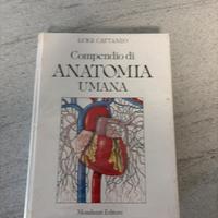 Libro anatomia umana