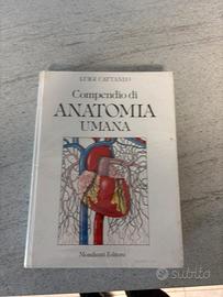 Libro anatomia umana