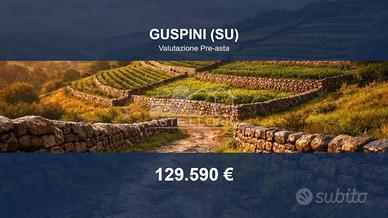 Immobile in asta di 12000 m² a Guspini