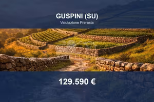Immobile in asta di 12000 m² a Guspini