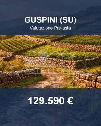 Immobile in asta di 12000 m² a Guspini