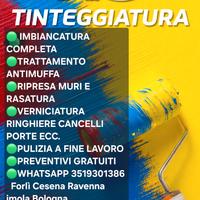 imbianchini tinteggiatura 
